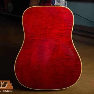 Gibson Dove 1968 - Natural image 2
