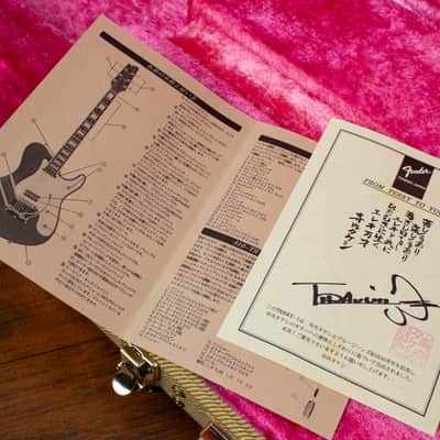 🇯🇵 1993 Fender Terry-1 Anniversary, Custom Edition, All Original, MIJ, Japan image 21