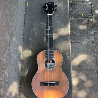 Hinrix concert ukelele 2023 image 6