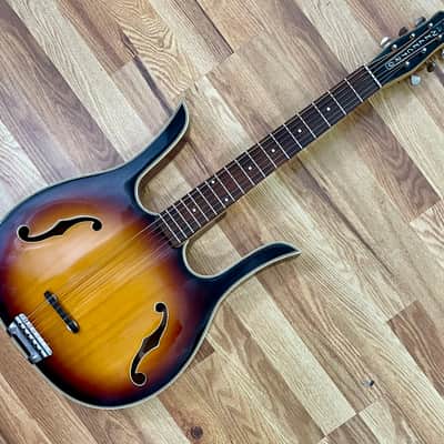 Very Rare Danelectro Longhorn Acoustic image 1