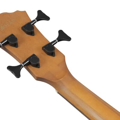 Ibanez AEGB25E-TKH image 7