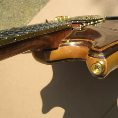 Tiger, Strad-a-Tiger #9. Jerry Garcia's Grateful Dead self built copy 2008-2024 image 6