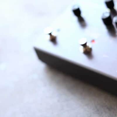 Strymon Timeline - Einzelstück image 5