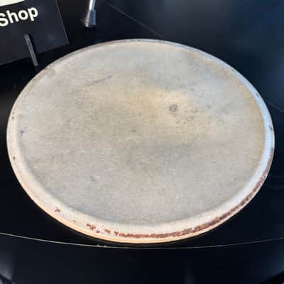Vintage 14" Calf Head (Rm3) image 2