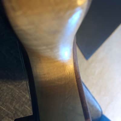 Bee Bass custom made seven string - studio instrument only - one owner image 11