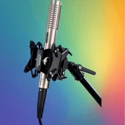 Royer Labs Royer R-122 Mkii-bundled With Rsm-ss1 (sling Shock), R-122 MKII-BNDL image 1