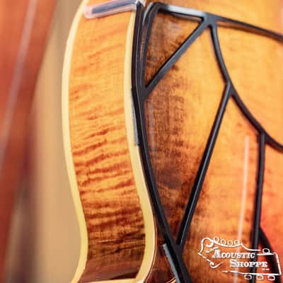 Tone-Gard Mandolin - Vintage image 3