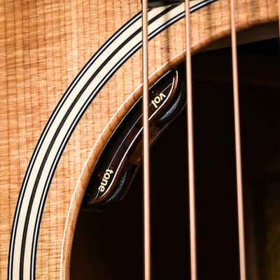 Taylor Gold Label 514e w/ Sitka Spruce Top & Tropical Mahogany Back and Sides Acoustic-Electric Guitar 2025 (1209295021) image 6