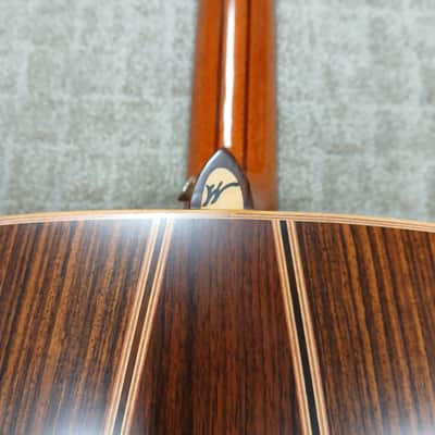 1995 Washburn D-68SW w/ Hard Shell Case image 19