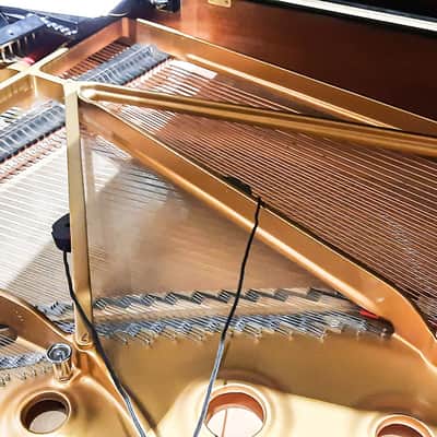 REMIC P6100 DUAL Microphone Kit for Upright and Grand Piano image 4