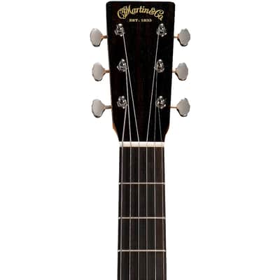 Martin DSS Biosphere II Acoustic Guitar w/SS image 8