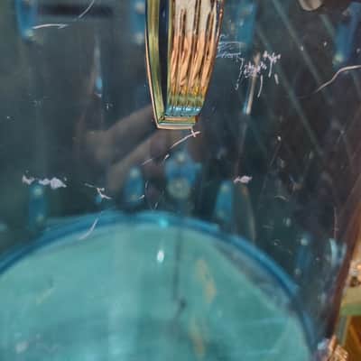 Ludwig 16x16" Vistalite Acrylic Floor Tom 1970s - Blue image 7