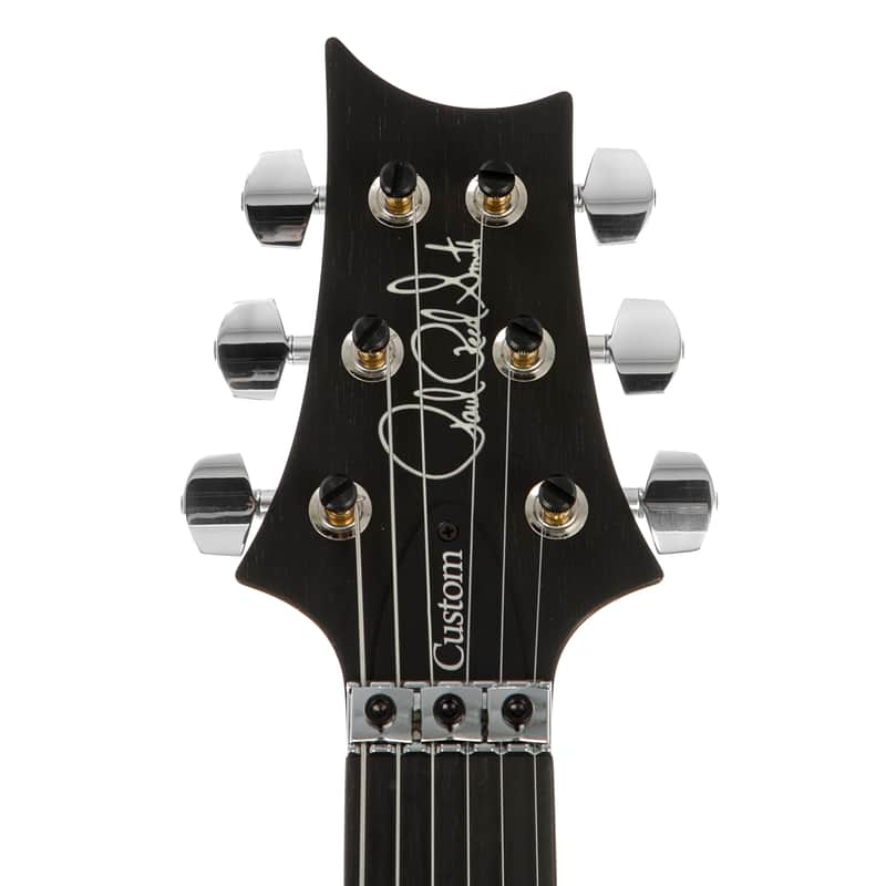 PRS Custom 24 Floyd 10-Top image 5