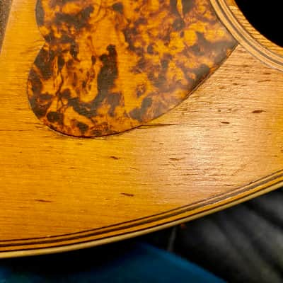 Unbranded Bowl Back Mandolin Early 1900's "For Repair" image 9