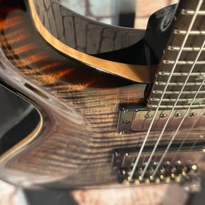 PRS WL-Modell Custom 24 Charcoal Tri-Colour Burst - 10 Top- Stained Neck- Cocobolo FB - 58/15+ TCI 2 pcs Worldwide image 5