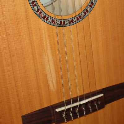Godin Model # 049691 Etude Nylon String Classical Acoustic Guitar image 13