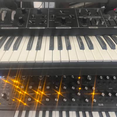 Moog Rogue 1981 - Black