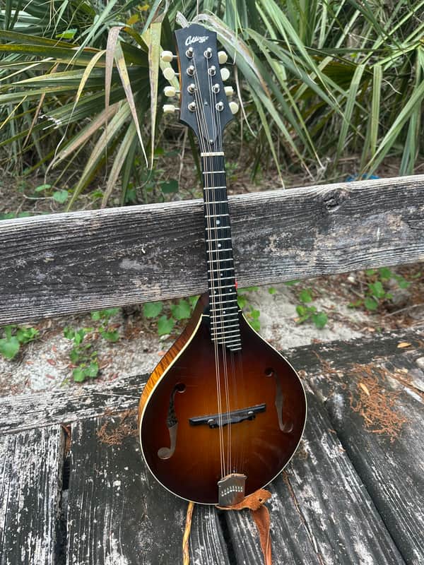 Collings Mt - Sunburst image 1