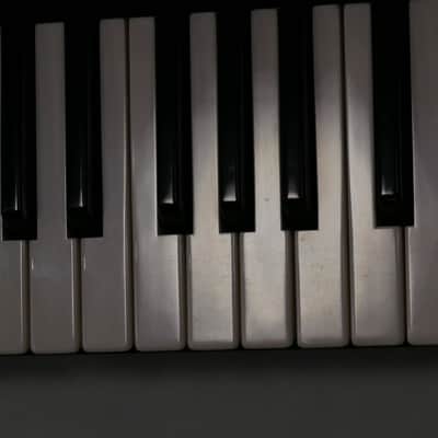 YAMAHA CS-10 + Case image 25