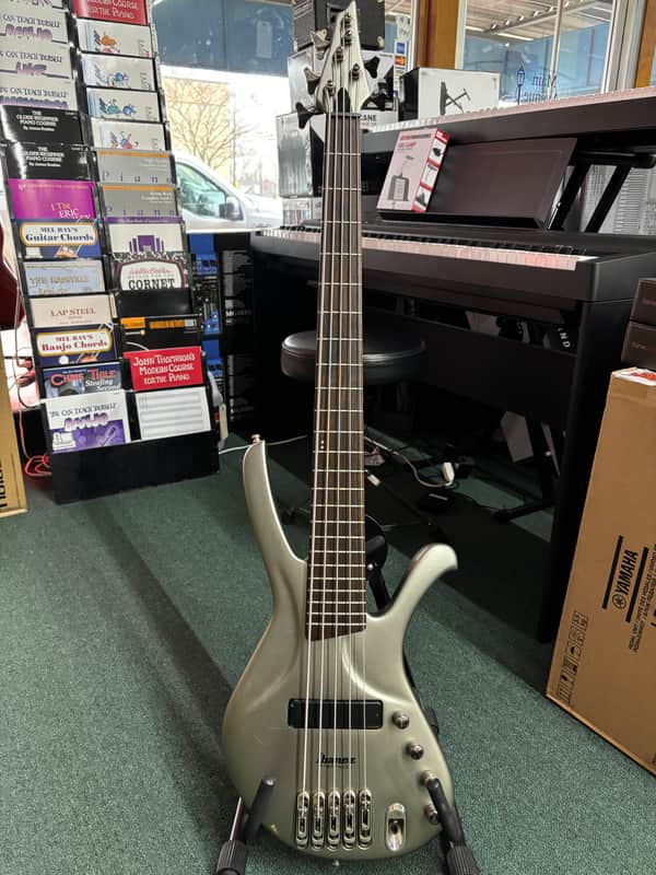 Ibanez Ergodyne EDA 905 Silver Flat 5-String image 1
