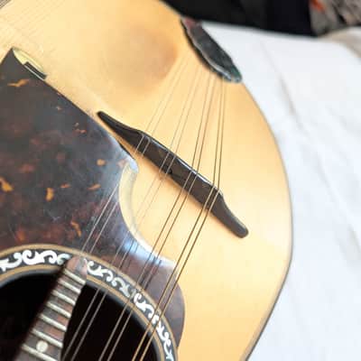 1926 Luigi Embergher Orchestra Model No. 3 — Roman bowlback mandolin, all original. image 10