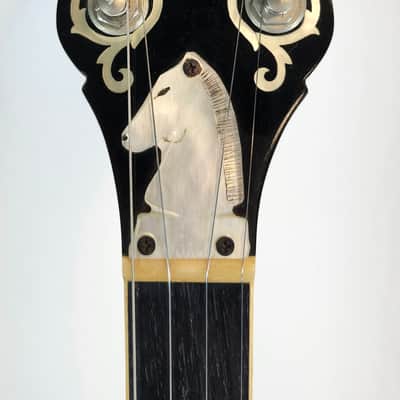 Vintage Iida 240P Plectrum Banjo, Masterclone, Archtop Tone Ring, Japan, 1970s, Mahogany Resonator, Pickup Mod, w/HSC image 11