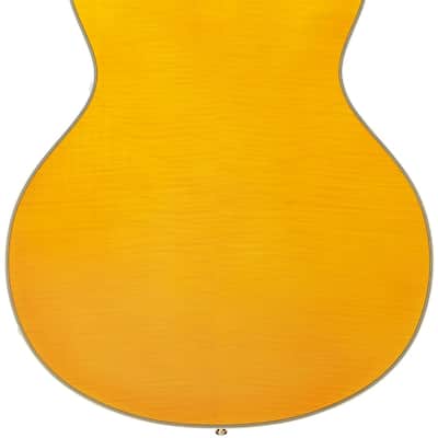 D'Angelico DAEDCVNATGS EXCEL DC Double Cutaway Semi-Hollow Body 6-String Electric Guitar w/Deluxe Hardshell Case image 6