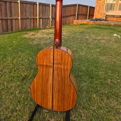 Daniel Garcia Classic Guitar All Solid Palo Escrito with Cedar Top 2025 - Laquer image 7