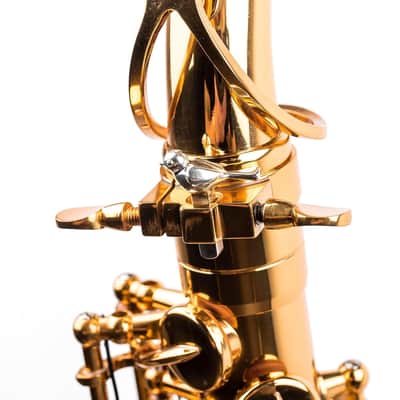 Sax Booster Accessory - Upgrade Your Sax Tone - Jazz Classical Saxophone Gear (925 Silver, Bird Style) image 5
