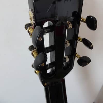 ORTEGA SOLID TOP THINLINE ELECTRIC-CLASSICAL GUITAR (RCE138-T4BK) image 12