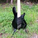 DINGWALL Combustion NG2 
- multiscale 5 string bass 
- high gloss black
- like new
- SKB rolling flight case
- can ship at buyer's expense