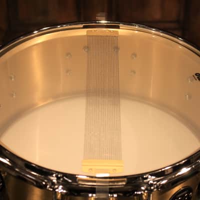 DW Performance Series 5.5X14 Thin Brass Snare Drum - New! image 6