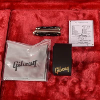Gibson Firebird Platypus Vintage Cherry 2025 image 10