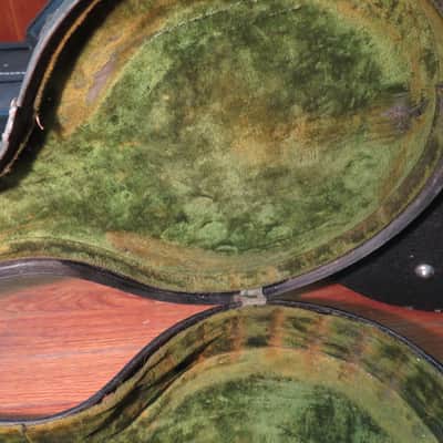circa 1920 vintage antique banjolin banjo case Gibson MB-4 mandolin image 5