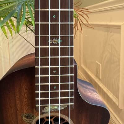 Bruce Wei BEUI17 Turtle Tenor Ukulele - Solid Acacia Koa - HSC included - MINT!! image 3