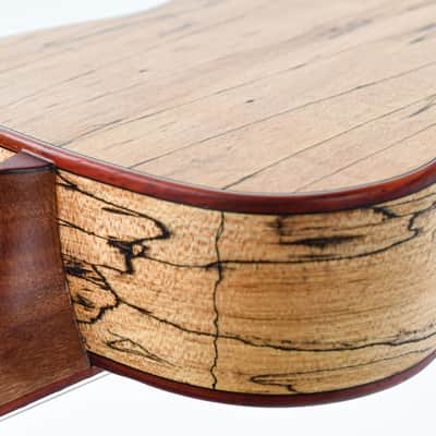 Cordoba 24B Spalted Maple Spruce Baritone Ukulele image 10