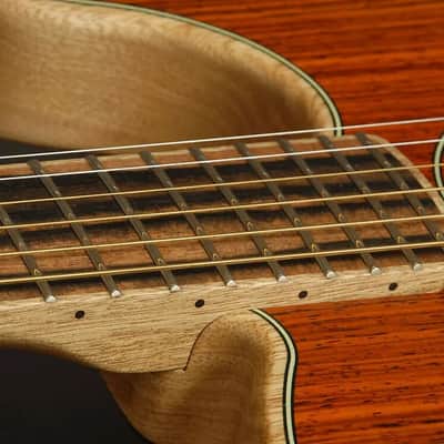 American Acoustasonic Telecaster limited Exotic Cocobolo 2019 - 2020 - Natural image 9