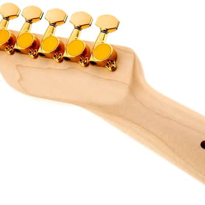 Fender Richie Kotzen Telecaster Maple FB Brown Sunburst image 7
