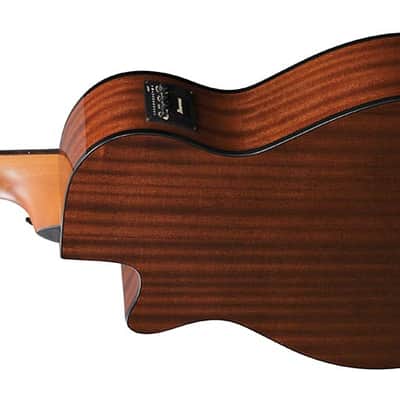 Ibanez AEGB25E Acoustic-Electric Bass Transparent Black Burst High Gloss image 6