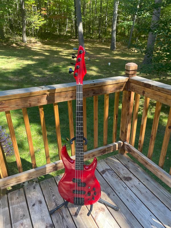 Peavey Dyna Unity USA
