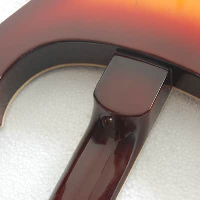 Fishbone FTP-BURG-12- String Electric Solid Body Guitar 2013 Burgundy Burst Make an Offer image 8