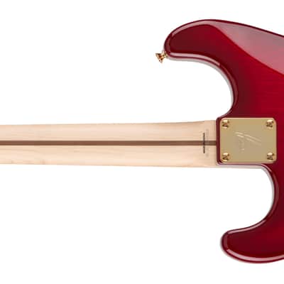 Fender Richie Kotzen Stratocaster Maple FB Transparent Red Burst with Bag image 2