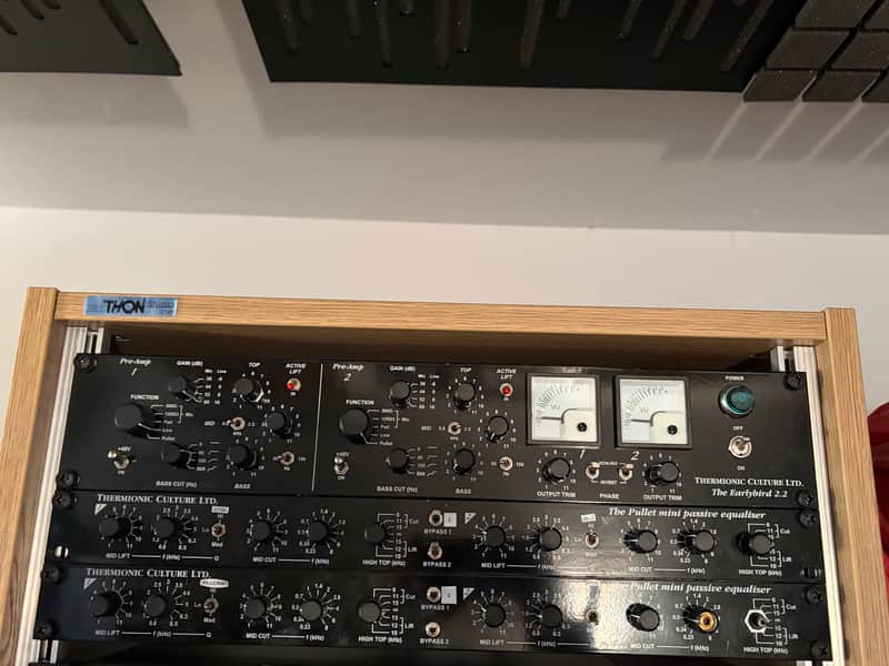 Thermionic Culture Earlybird 2.2 2-Channel Mic Preamp / Equalizer 2010s - Black image 1