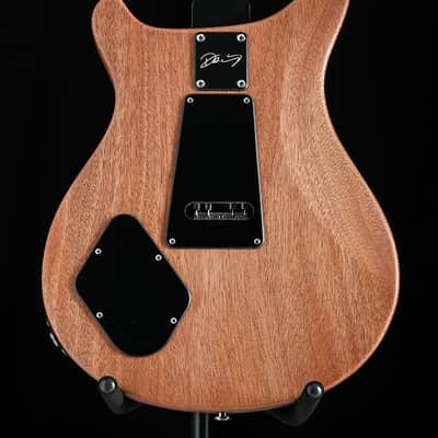 Paul Reed Smith DW CE 24 Floyd Dustie Waring Signature Black Top image 19