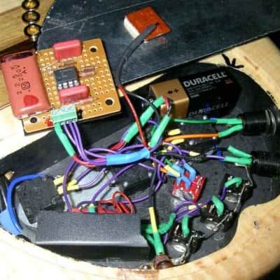 Jerry Garcia (Tiger) Unity Gain Buffer OBEL (handmade) image 6