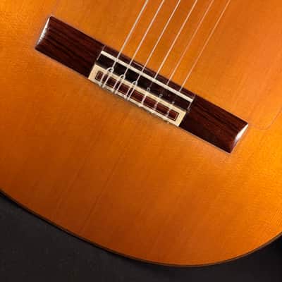 1997 Gerundino Fernandez Flamenco Guitar image 21