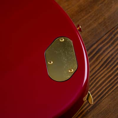 🇯🇵 1993 Fender Terry-1 Anniversary, Custom Edition, All Original, MIJ, Japan image 13