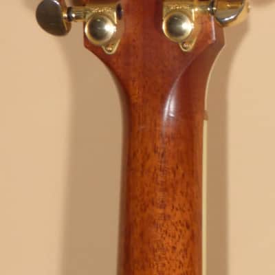 1998 Taylor W-10 image 7