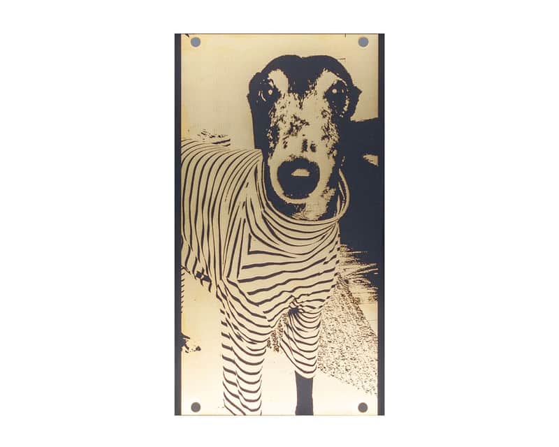 Limited Edition Instruo Winston! 14 HP Blank Panel - Black image 1