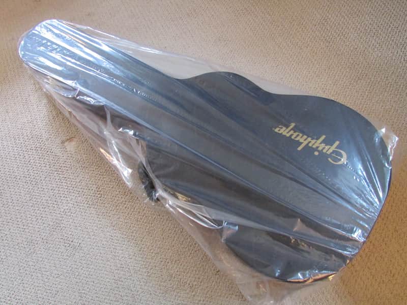 Epiphone Case